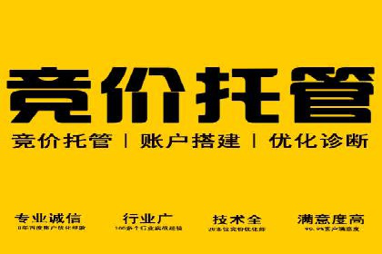 百度竞价广告的成功之路：企业运营案例集